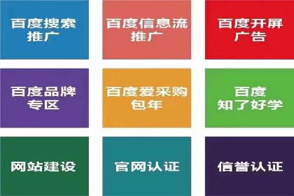 竞价推广公司案例：实战技巧与策略